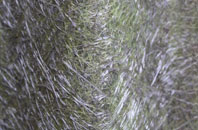 Thornly Park fibreglass roof work